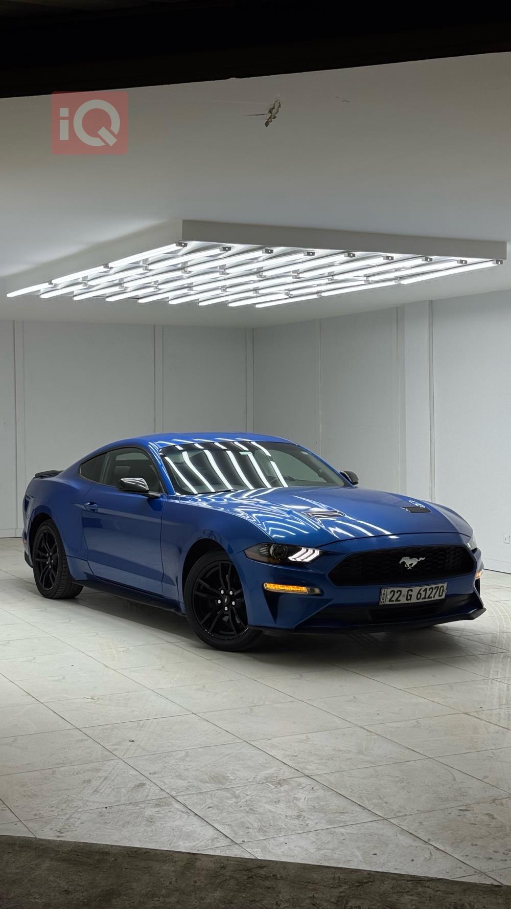 فۆرد مۆستانگ